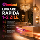 Livrare rapida