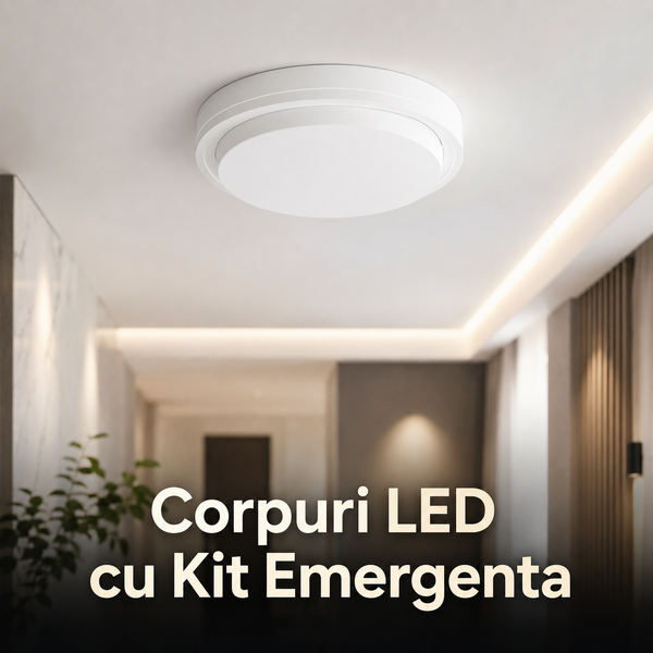 Corpuri LED cu Kit Emergenta