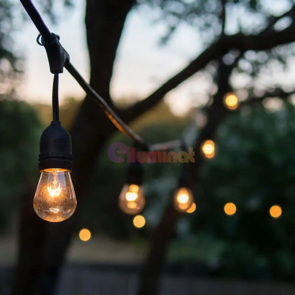 Ghirlande Luminoase Exterior