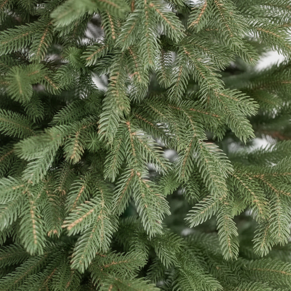 Brad Artificial de Craciun HAPPY FOREST 3D Verde