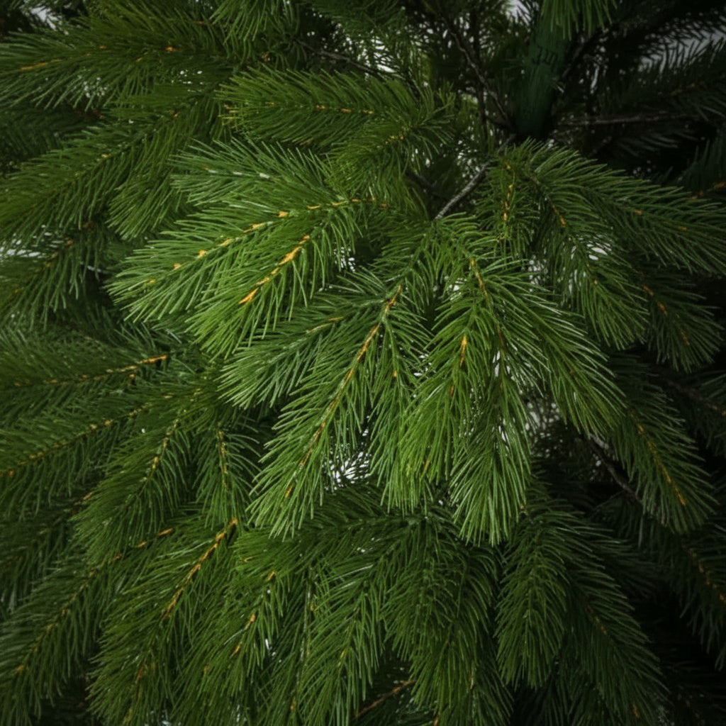 Brad Artificial de Craciun 3D ROYAL PINE