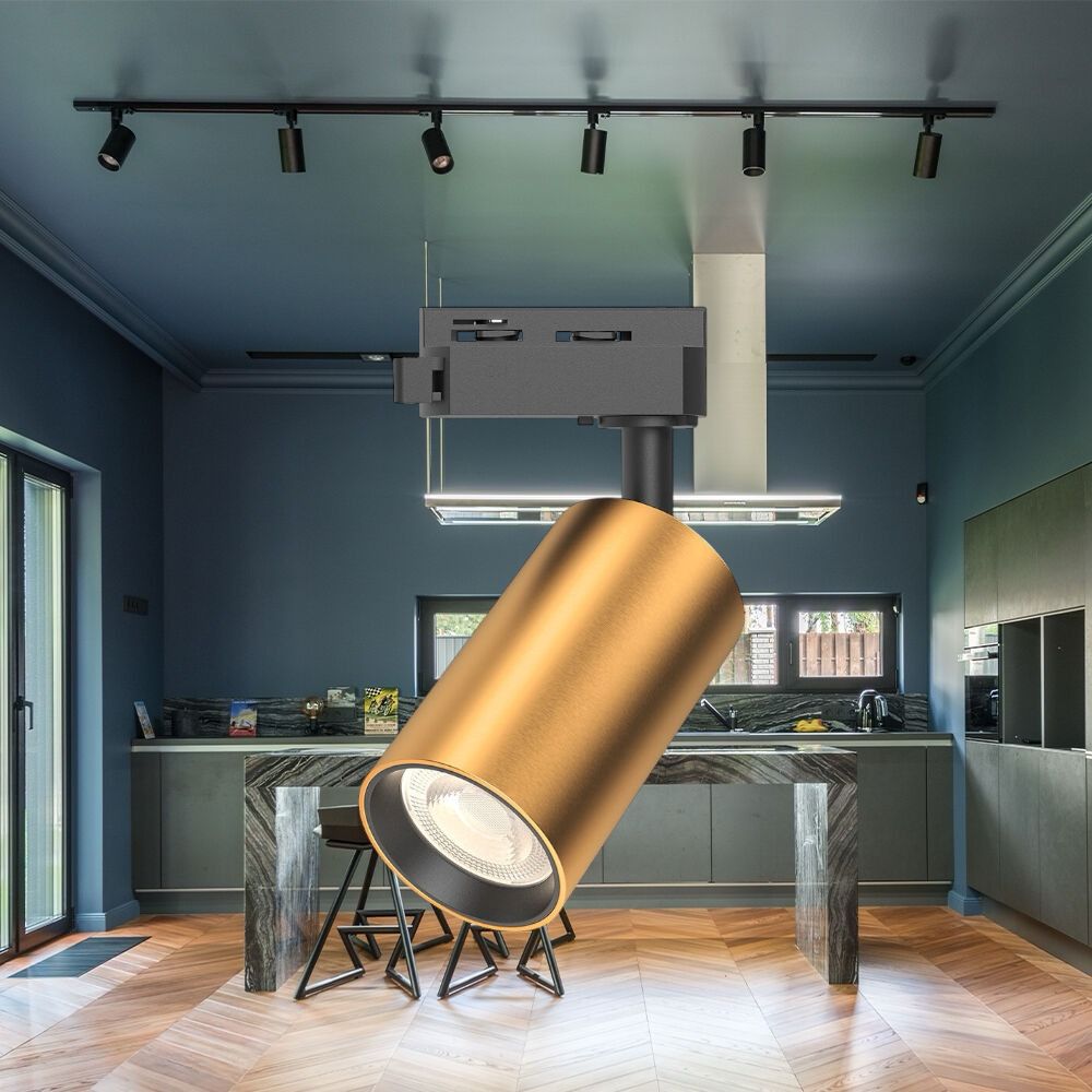 Spot Sina Orientabil Gold & Black Fasung GU10 Ø5.7CM TRACK LIGHT