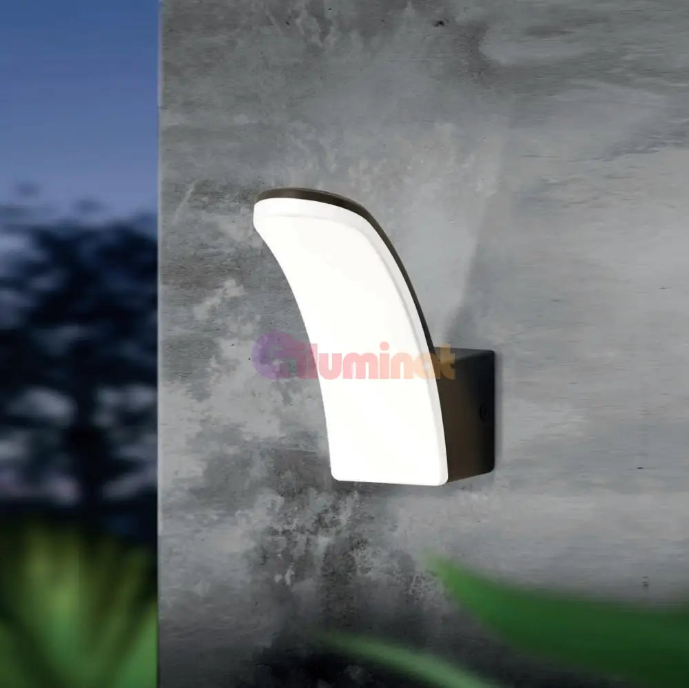 Aplica Led 11W Eglo Fiumicino 98148 Exterior Wall Light Fixtures