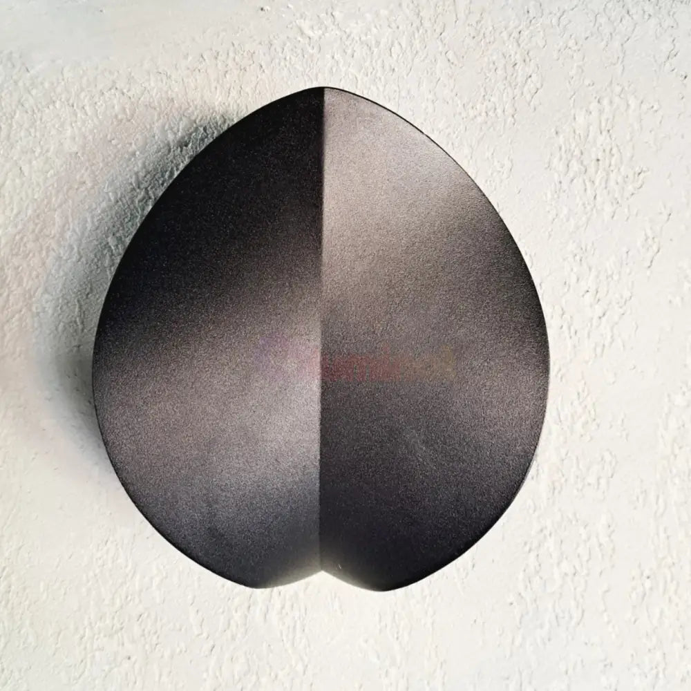 Aplica Led 7W Exterior Shell Neagra Fy-01B/Bk Wall Light Fixtures