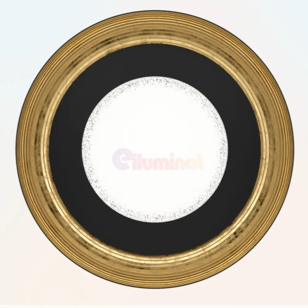 Aplica/Plafonieră LED Premium CANICOSA 2 Round 49.5CM Telecomanda led ceiling light