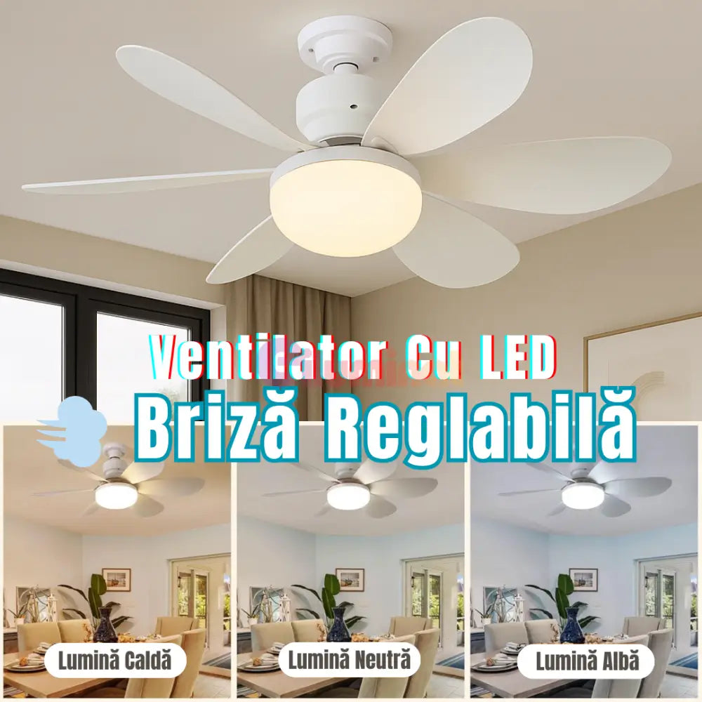 Ventilator Cu BEC LED + telecomanda💫 ALBA / VENTILATOR Lighting Fixtures