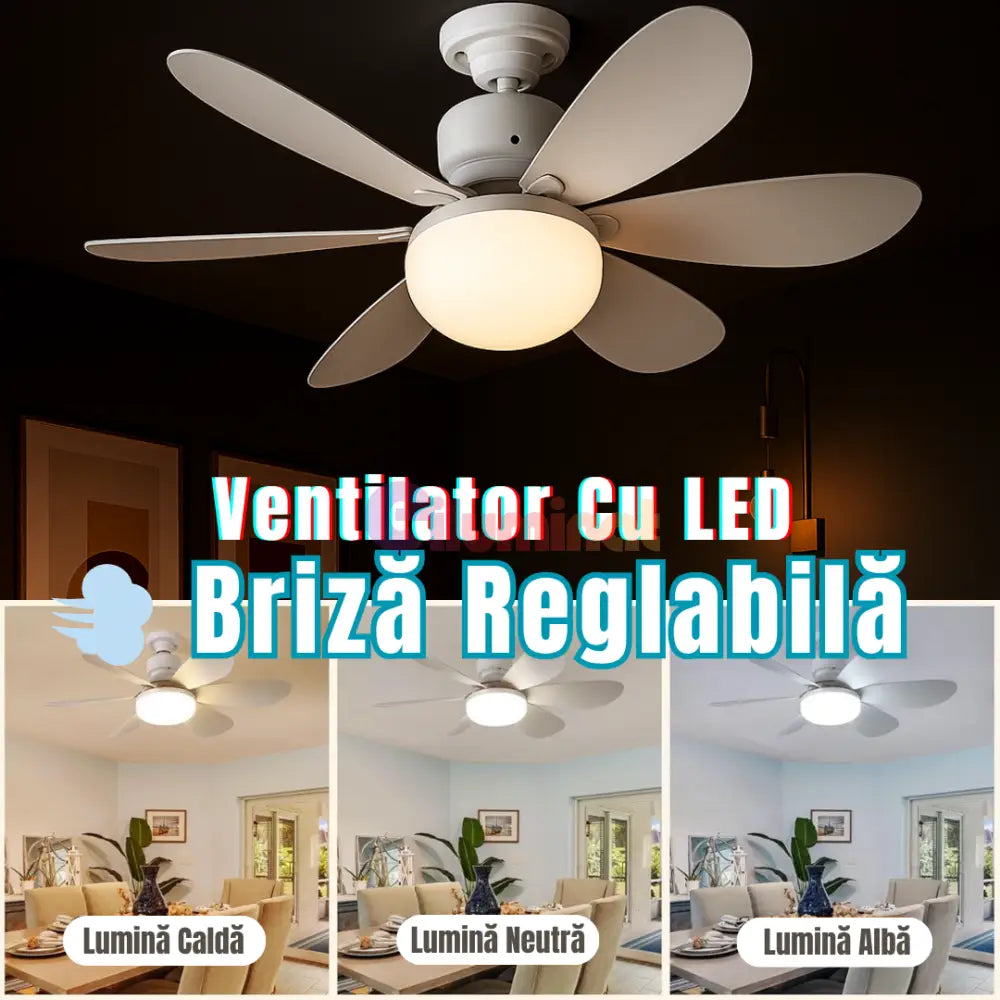 Ventilator Cu BEC LED + telecomanda💫 ALBA / VENTILATOR Lighting Fixtures