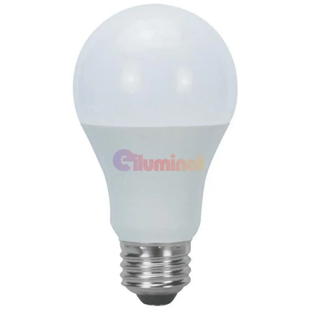 Bec Led E27 9W Glob Mat Bulb