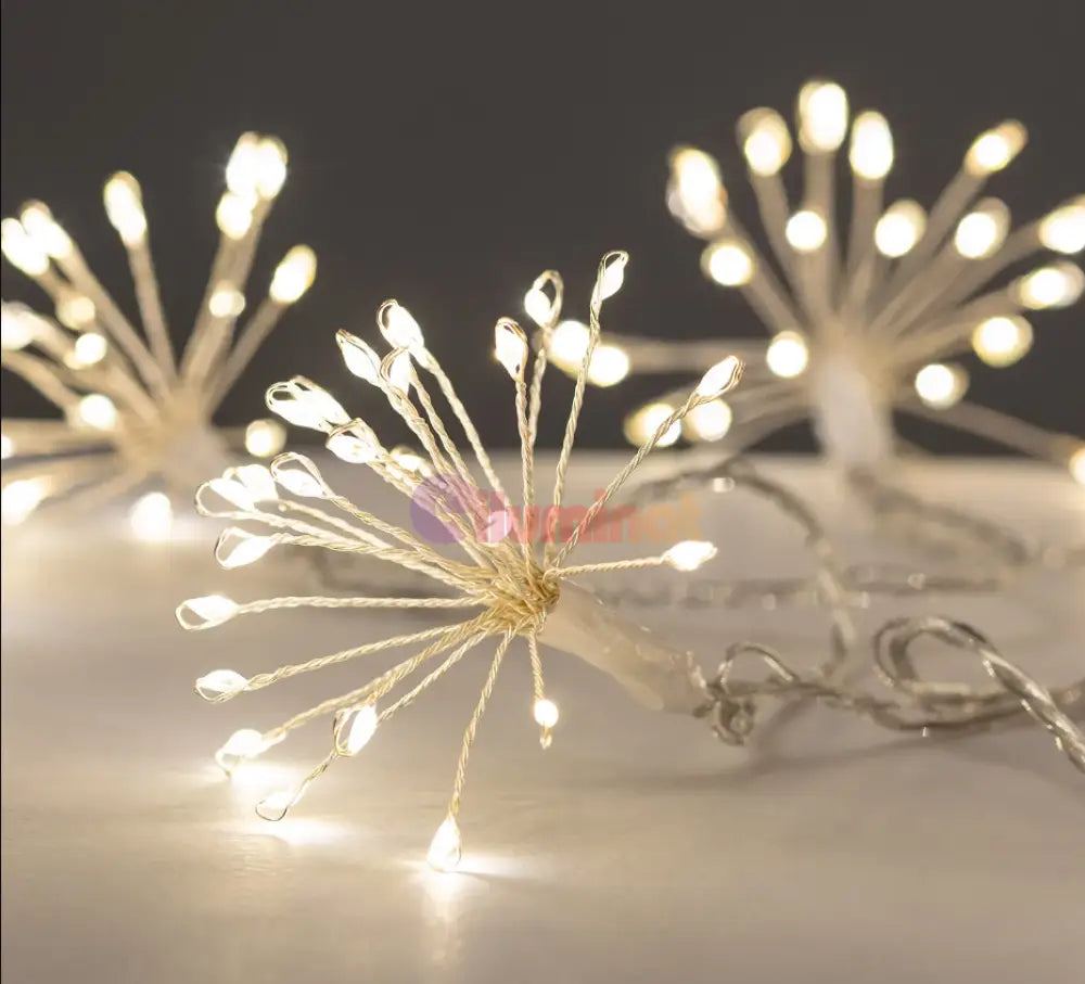 Ghirlanda Solara Sparkle Twig 4M 600Mah Solar Light Rope