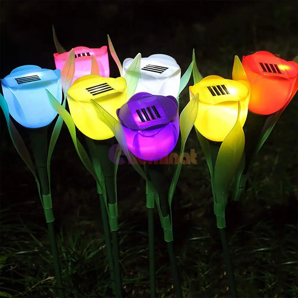 Lalea Led Cu Incarcare Solara - Diverse Culori Rgb Solar Lamp