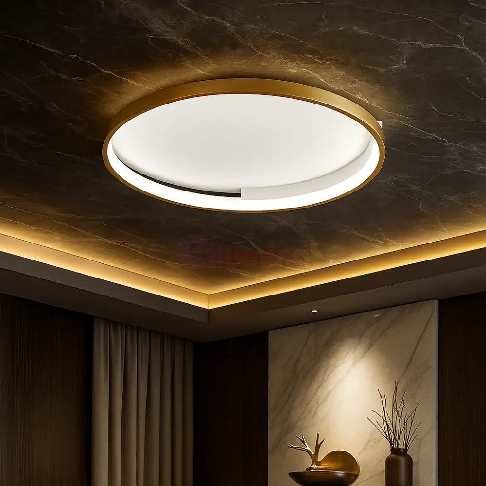 Lustra LED Aplicata JORY White&Gold Telecomanda Echivalent 600W Lighting Fixtures