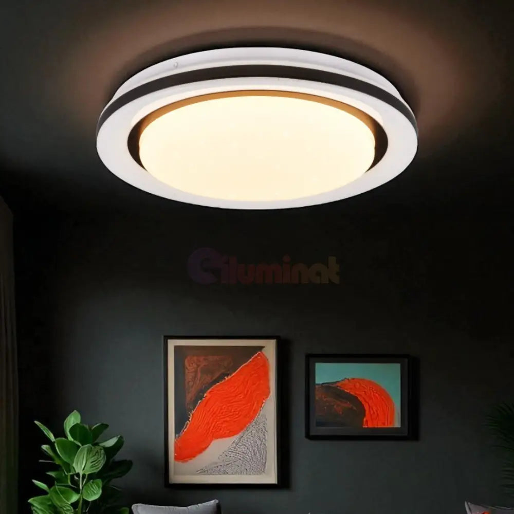 Lustra LED CARTIDA RGB ALBA / 62CM / MINIMALIST DESIGN Lighting Fixtures