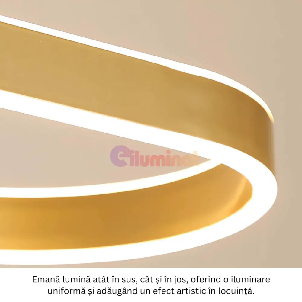 Lustra LED KING Gold 1 Segment Oval 120W cu Telecomanda SE-P3211-GD AURIE / 80CM / SUSPENDATE Lighting Fixtures