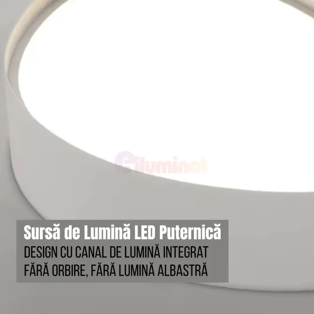 Lustra LED Aplicata Gold + Black 21W MINIMALIST DESIGN / NEGRU + AURIU led ceiling light
