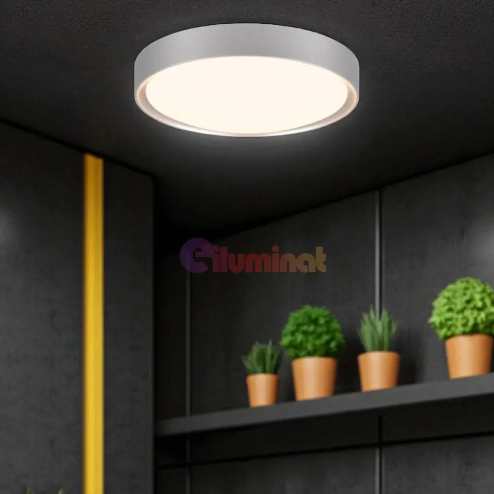 Lustra LED CLARIMO White ALBA / 33CM / MINIMALIST DESIGN Lighting Fixtures