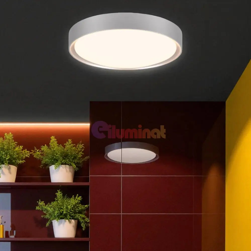 Lustra LED CLARIMO White ALBA / 33CM / MINIMALIST DESIGN Lighting Fixtures