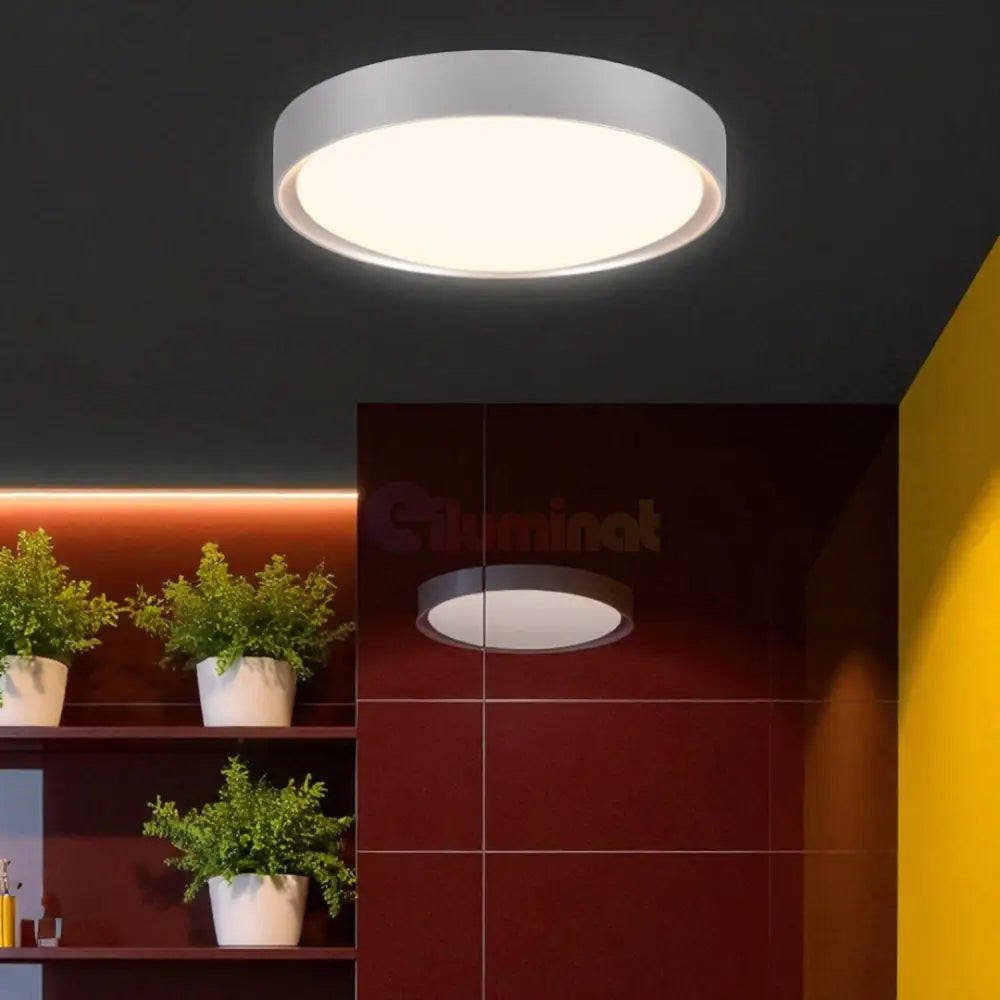 Lustra LED CLARIMO White ALBA / 33CM / MINIMALIST DESIGN Lighting Fixtures