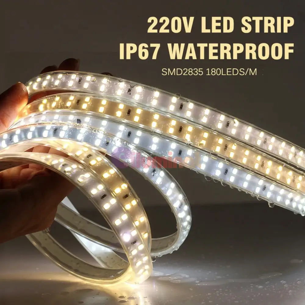 Rola Banda Led 2835 2 Randuri 220V - 100M Strips