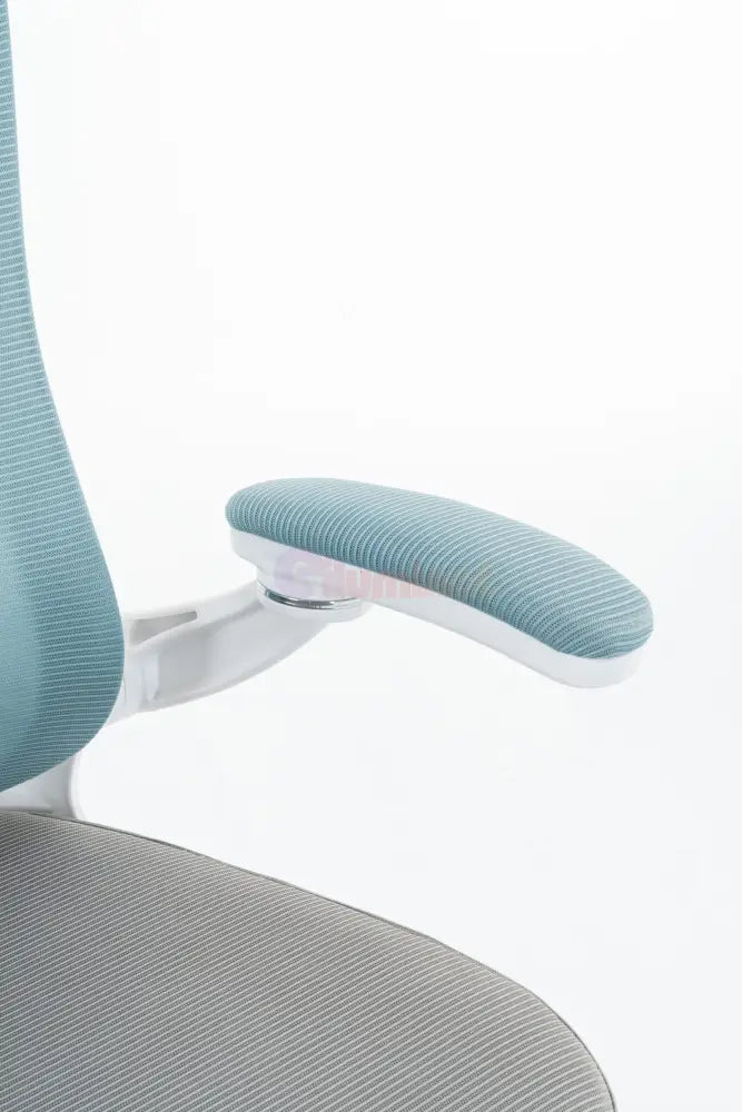 Scaun de Birou Albastru-Gri WF-005 Scaun de Birou Chairs