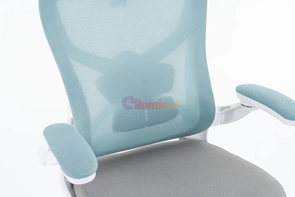 Scaun de Birou Albastru-Gri WF-005 Scaun de Birou Chairs