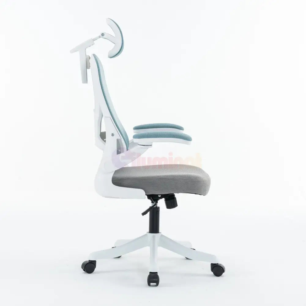 Scaun de Birou Albastru-Gri WF-005 Scaun de Birou Chairs