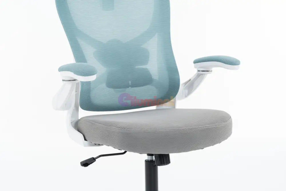 Scaun de Birou Albastru-Gri WF-005 Scaun de Birou Chairs