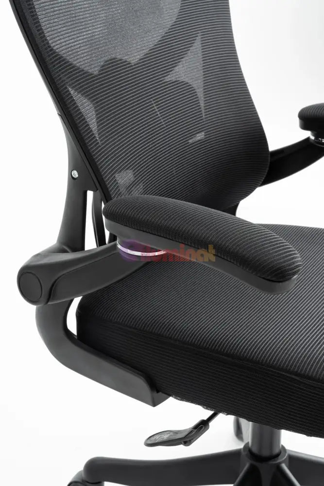 Scaun de Birou Black WF-005 Scaun de Birou Chairs