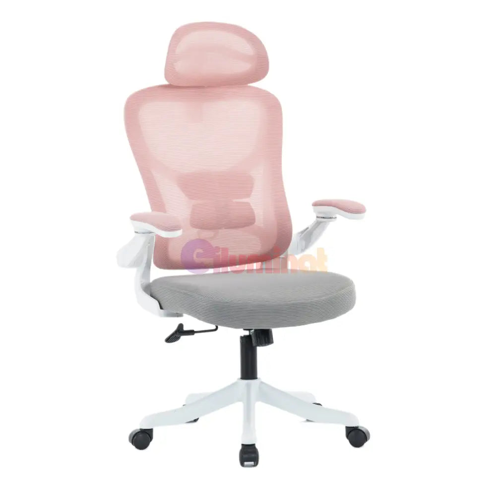 Scaun de Birou Roz-Gri WF-005 Scaun de Birou Chairs