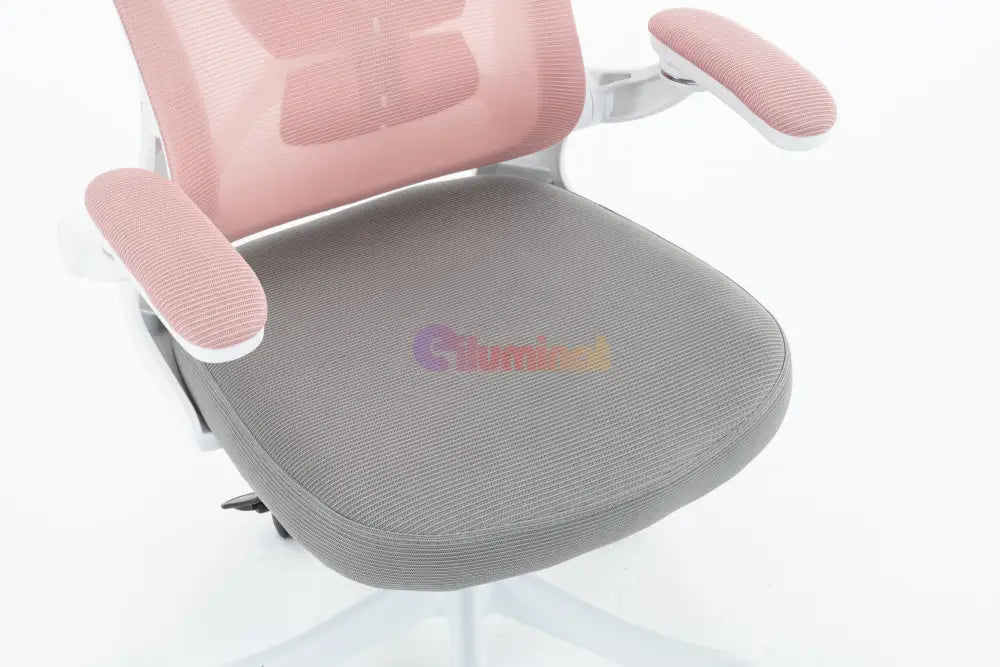 Scaun de Birou Roz-Gri WF-005 Scaun de Birou Chairs