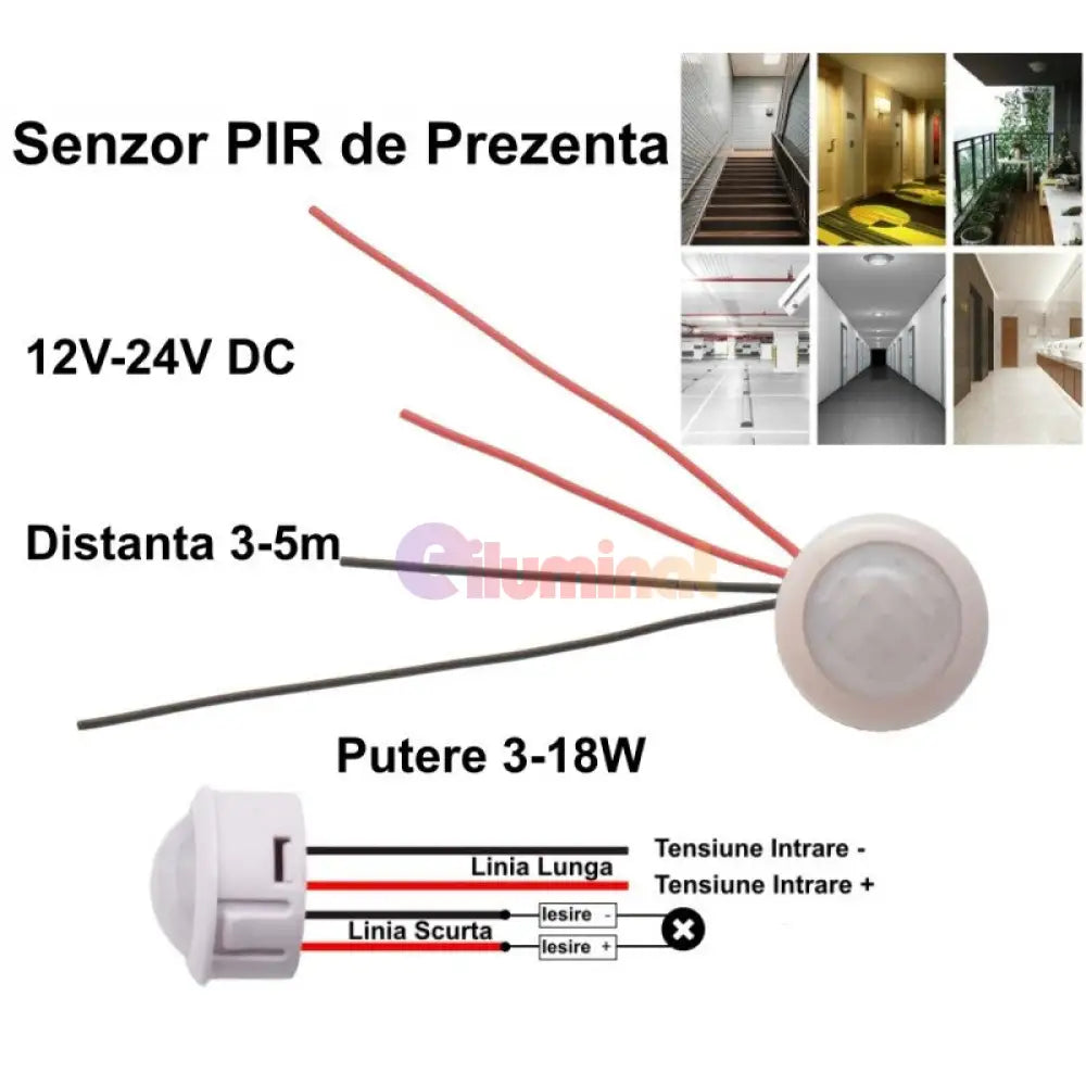 Senzor De Miscare Pir 12V-24V Lighting Accessories