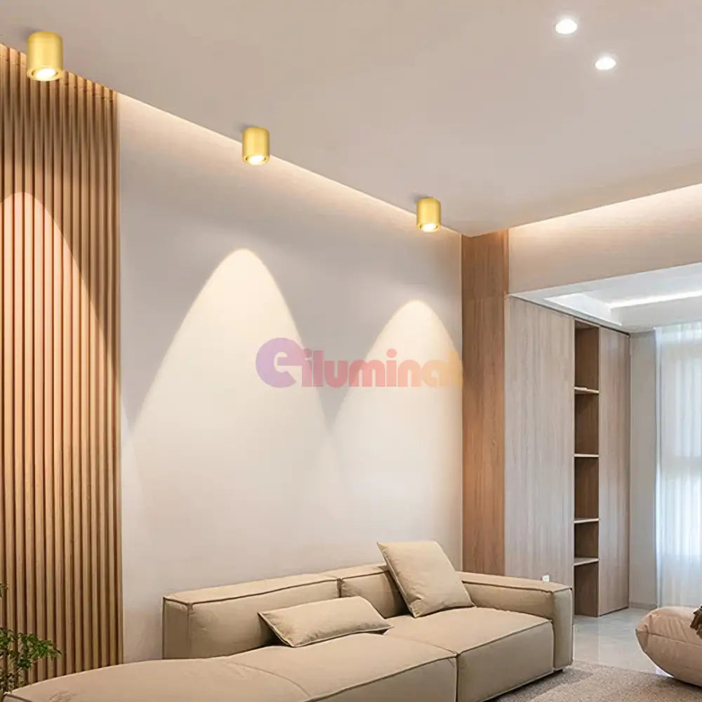 Spot Aplicat Cilindric Auriu Dulie Gu10 10CM SPOT LED APLICAT / GU10 / AURIU led ceiling light