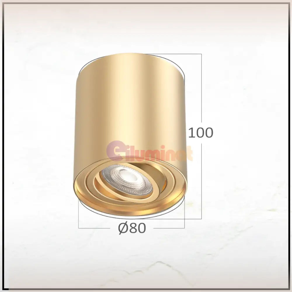 Spot Aplicat Cilindric Auriu Dulie Gu10 10CM SPOT LED APLICAT / GU10 / AURIU led ceiling light