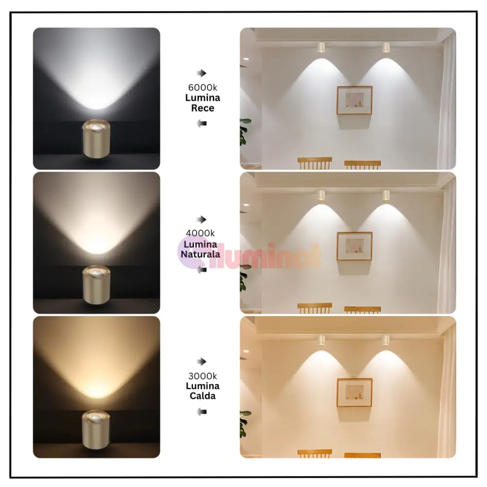 Spot Aplicat Cilindric Auriu Dulie Gu10 10CM SPOT LED APLICAT / GU10 / AURIU led ceiling light