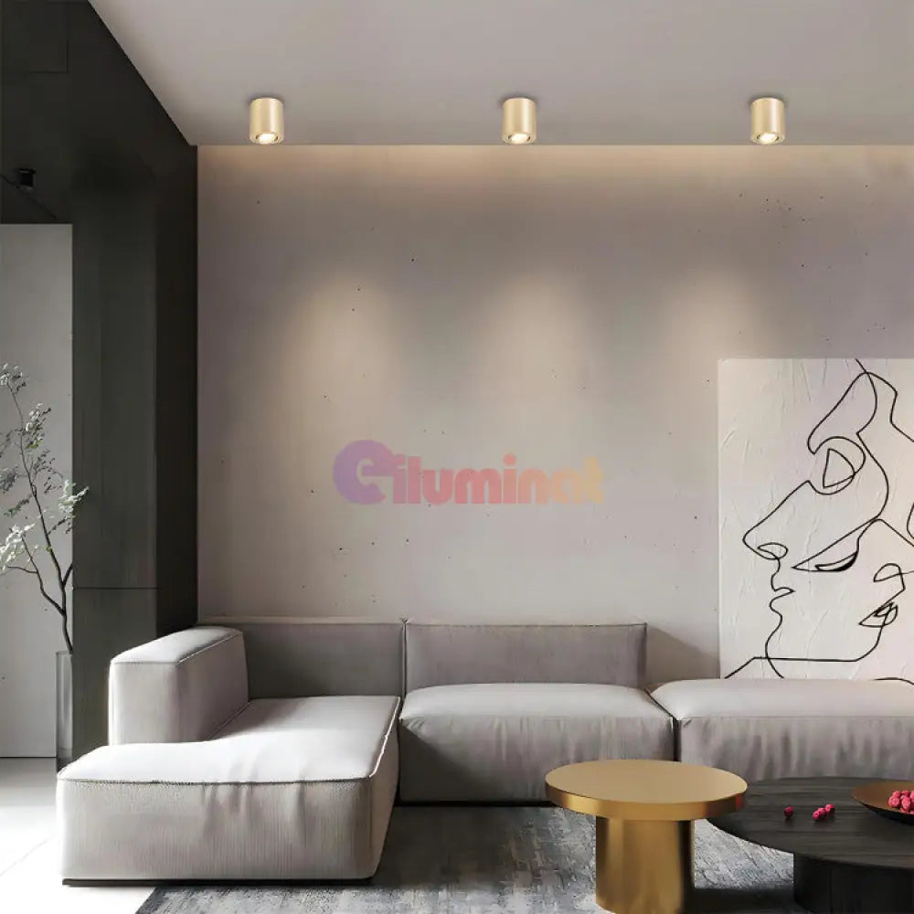 Spot Aplicat Cilindric Auriu Dulie Gu10 10CM SPOT LED APLICAT / GU10 / AURIU led ceiling light