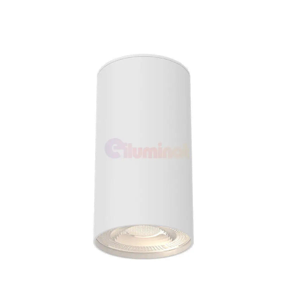 Spot Aplicat Rotund Alb Dulie GU10 Ø55x102mm led ceiling light