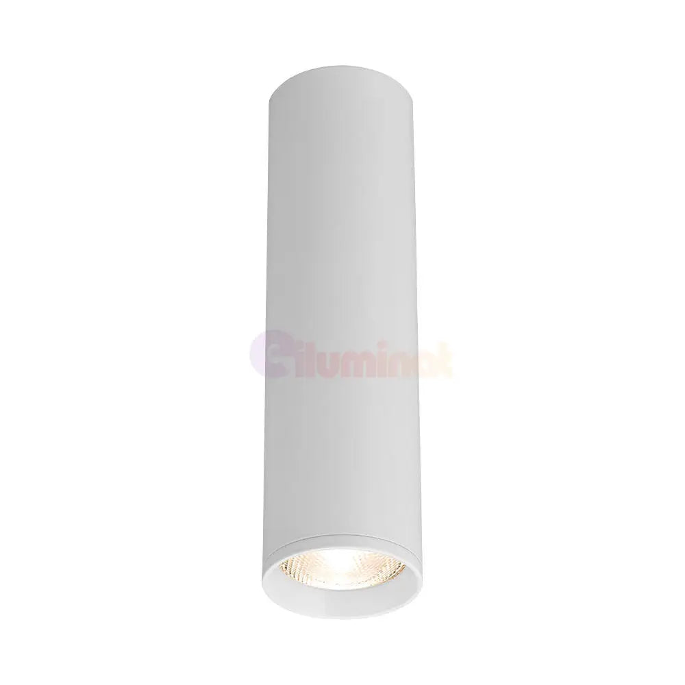 Spot Aplicat Rotund Alb Dulie GU10 Ø55x200mm led ceiling light