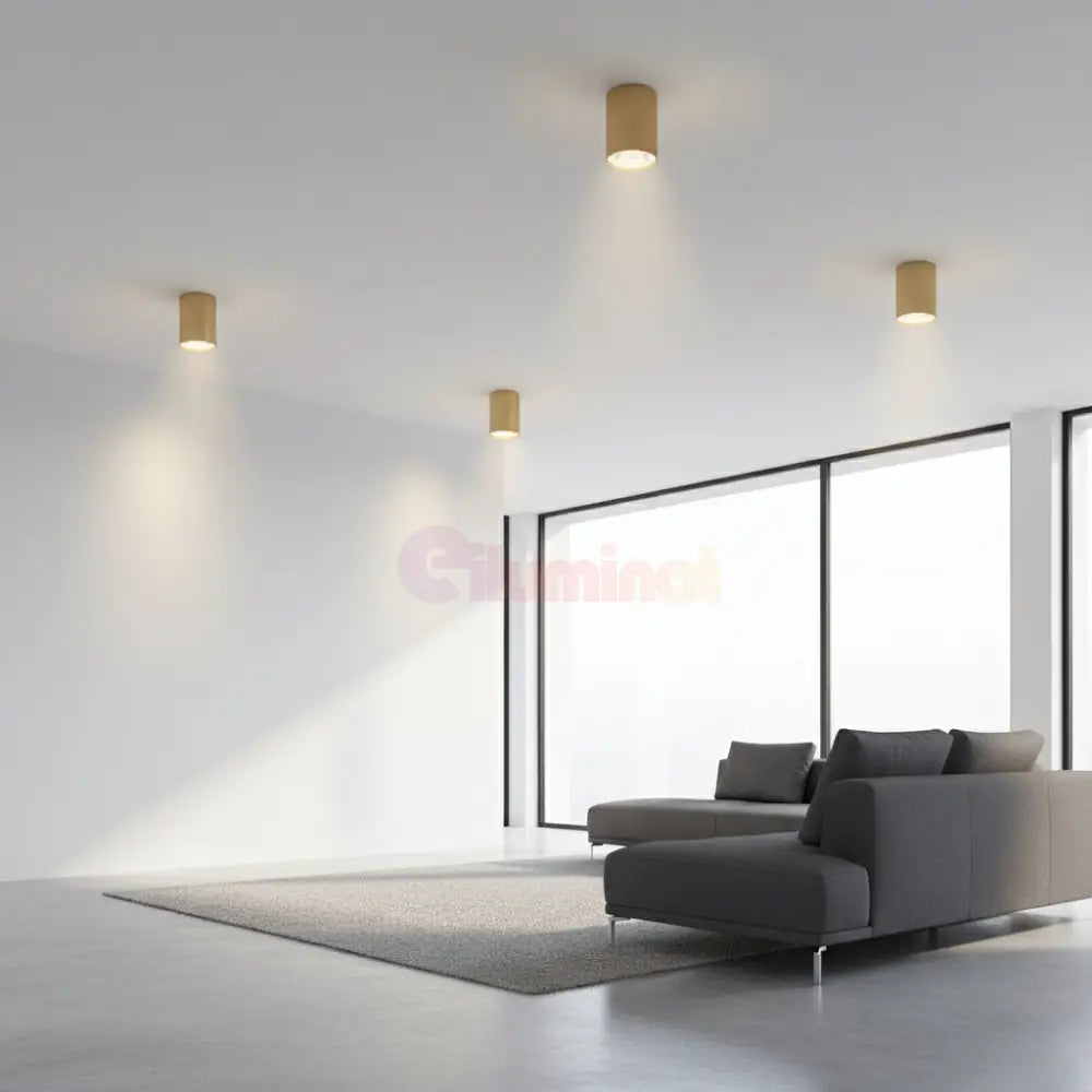Spot Aplicat Rotund Auriu Dulie GU10 Ø55x102mm led ceiling light