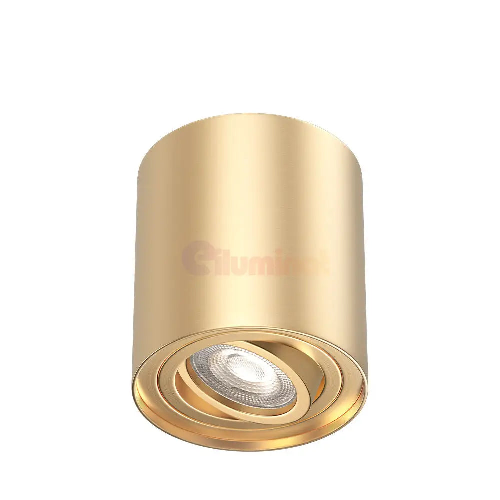 Spot Aplicat Rotund Fascicul Reglabil Auriu Dulie GU10 Ø80x100mm led ceiling light