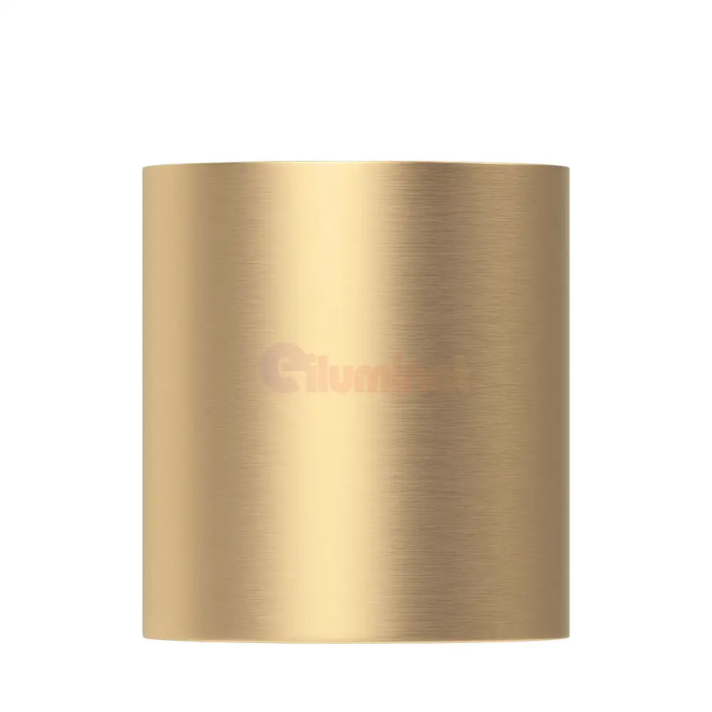 Spot Aplicat Rotund Fascicul Reglabil Auriu Dulie GU10 Ø80x100mm led ceiling light