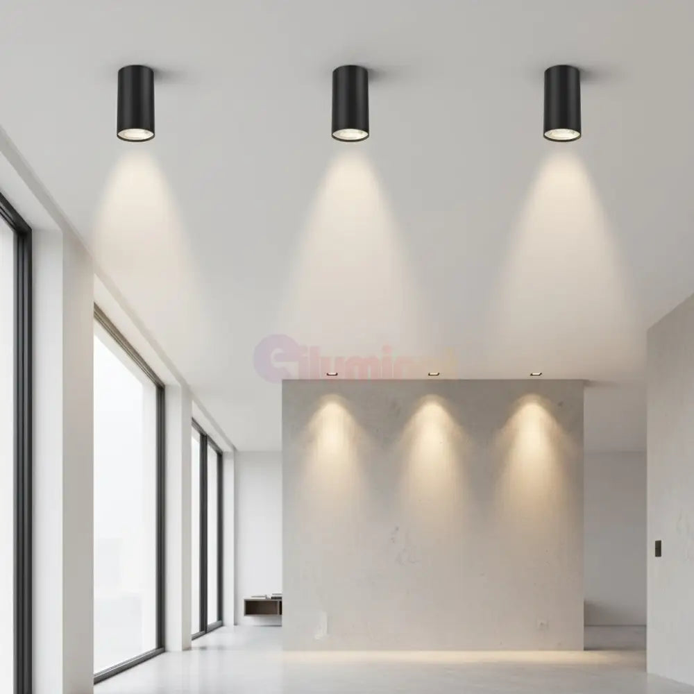 Spot Aplicat Rotund Negru Dulie GU10 Ø55x102mm led ceiling light