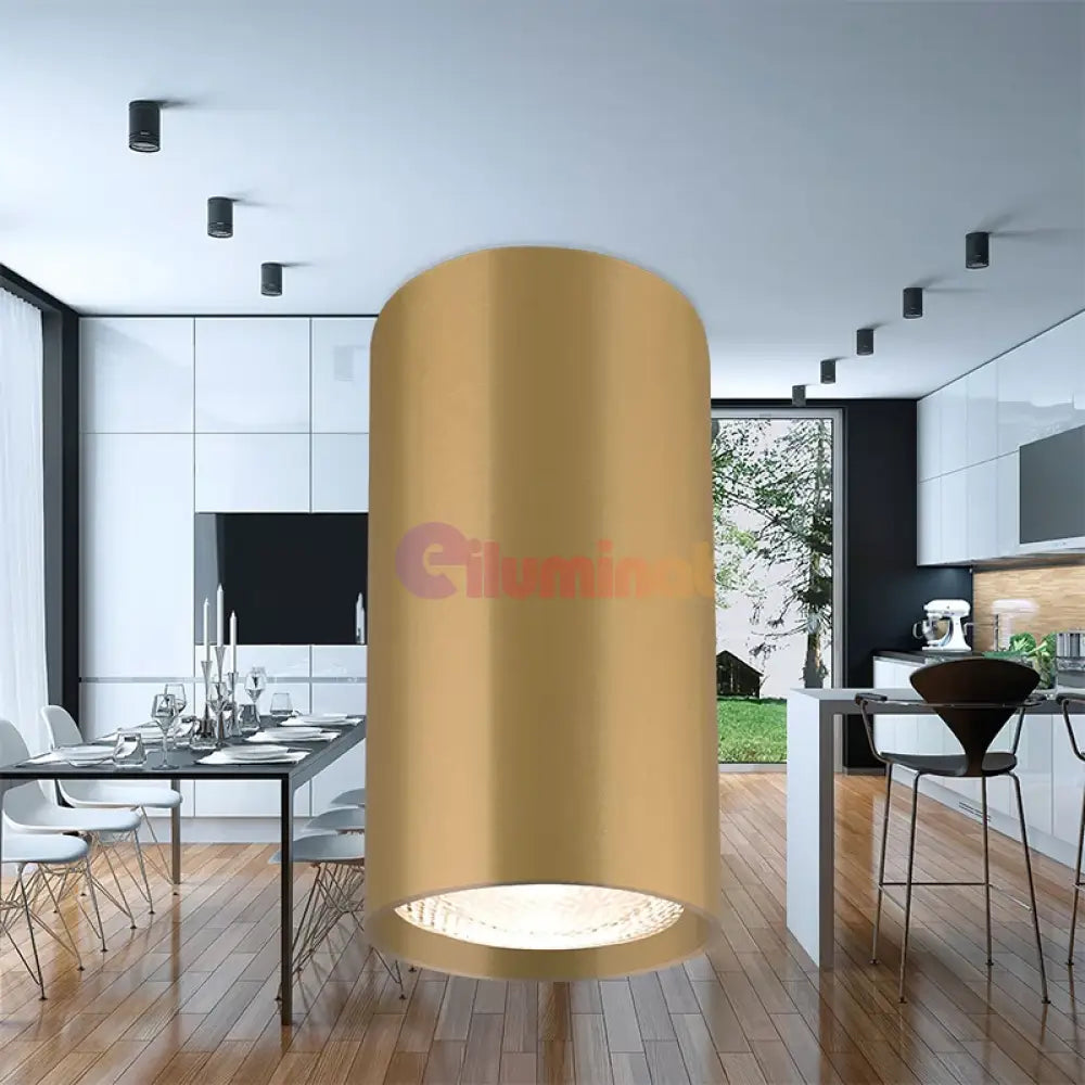Spot Cilindric Aplicat GAMA Gold 10cm SPOT LED APLICAT / GU10 / AURIU led ceiling light