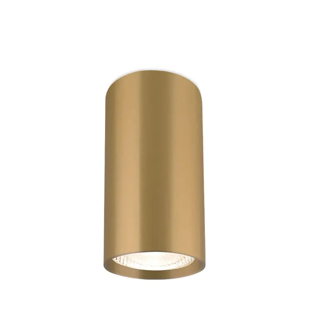 Spot Cilindric Aplicat GAMA Gold 10cm SPOT LED APLICAT / GU10 / AURIU led ceiling light