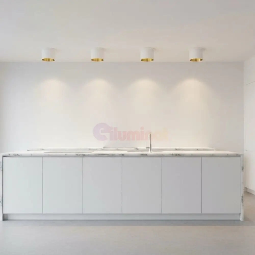 Spot Incastrat Rotund Alb & Auriu Dulie GU10 Ø70x63mm led ceiling light