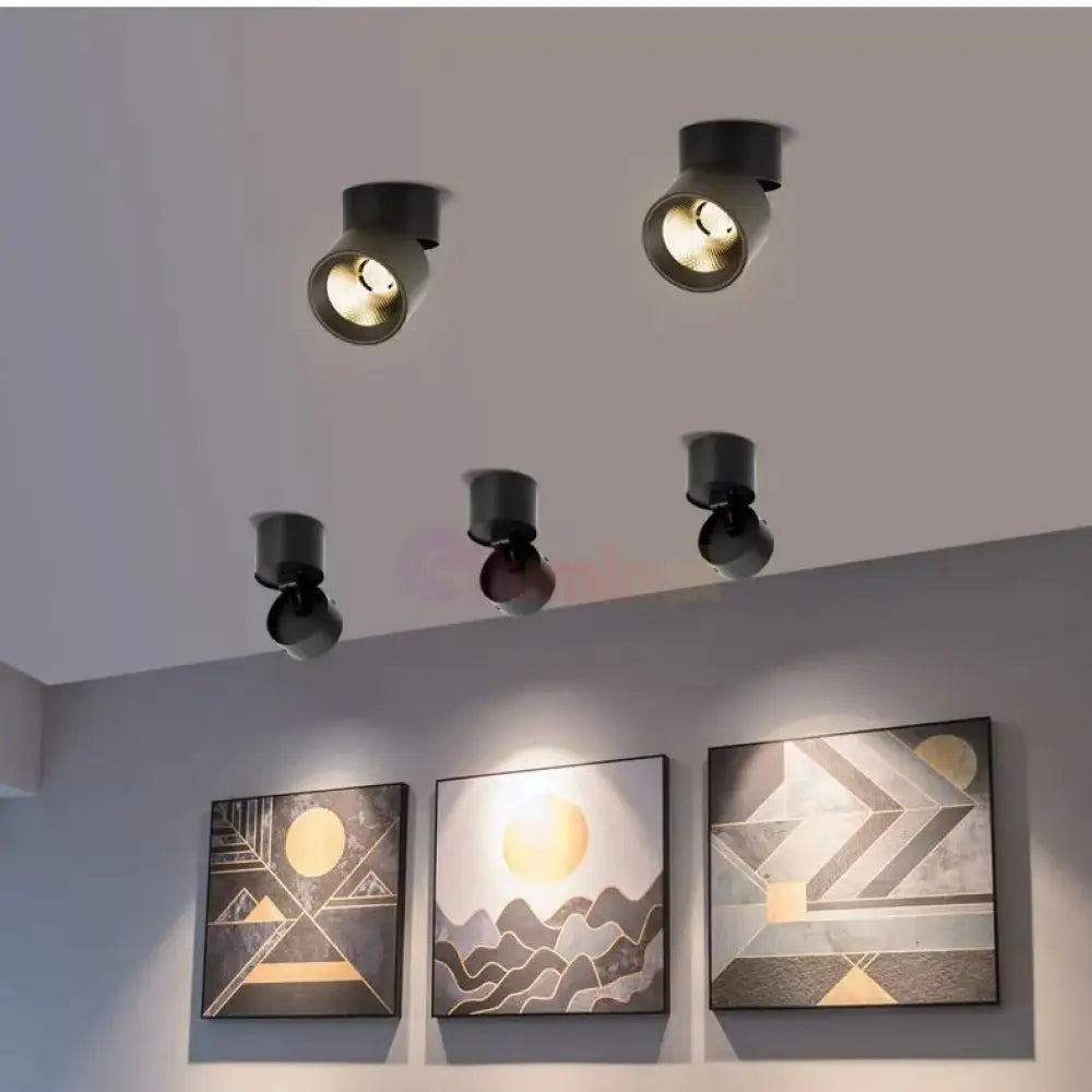 Spot LED Cilindric Aplicat Orientabil Negru 10W Lumina Calda SPOT LED APLICAT / 10W / NEAGRA led ceiling light