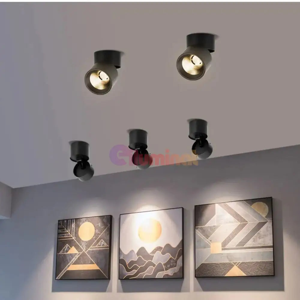 Spot LED Cilindric Aplicat Orientabil Negru 10W Lumina Neutra SPOT LED APLICAT / 10W / NEAGRA led ceiling light