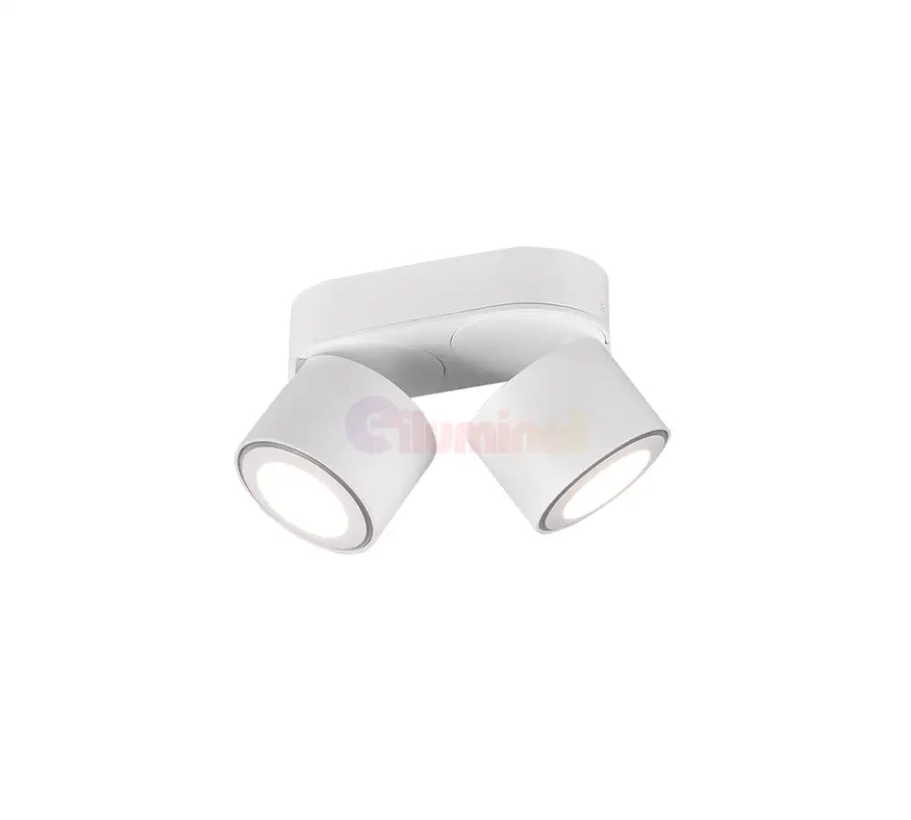 Spot LED Premium Aplicat Orientabil Dreptunghiular 2x450lm Alb 3 Moduri de Iluminare led ceiling light