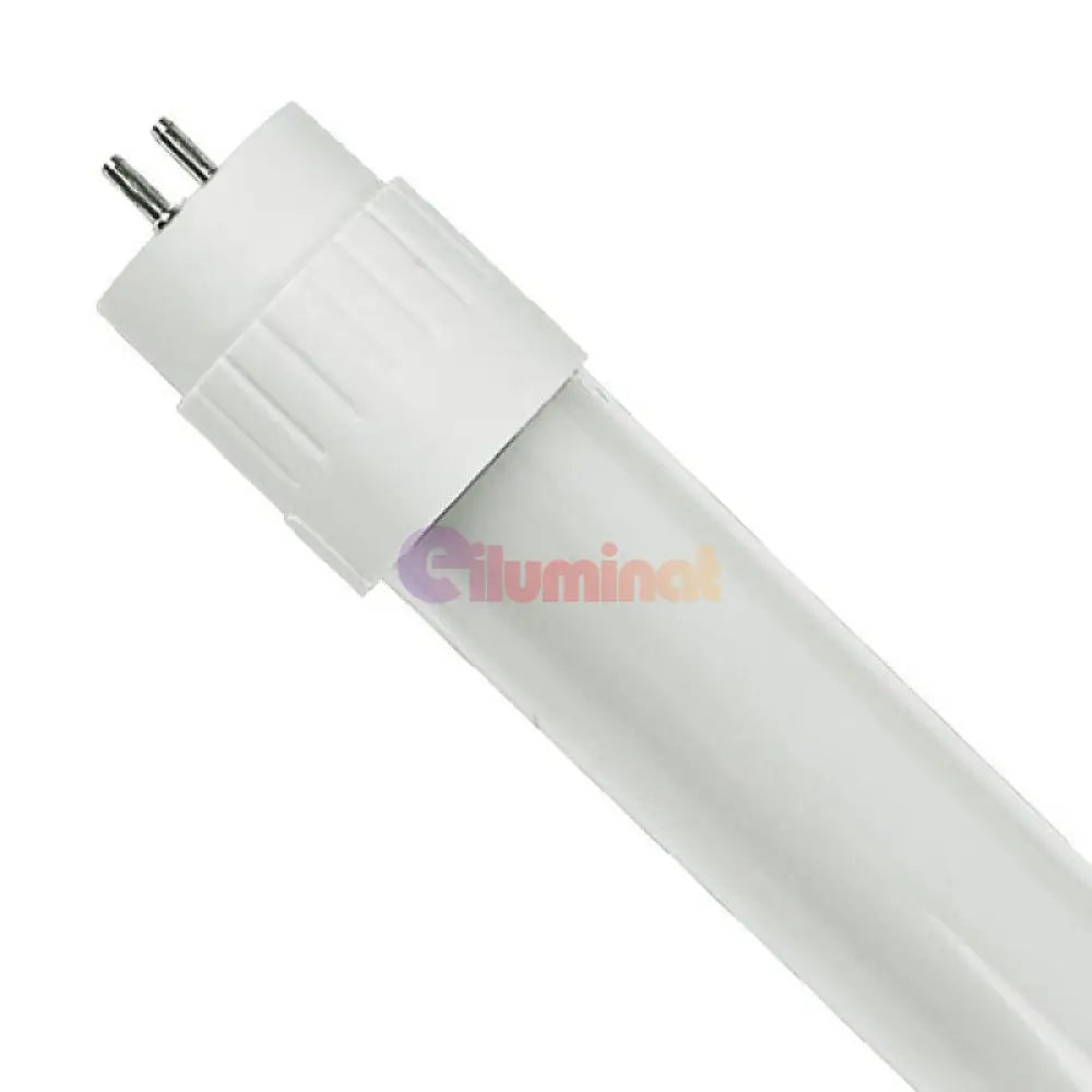 Tub Led T8 Mat 120Cm 18W 1800 Lm Alimentare La Un Capat Tube