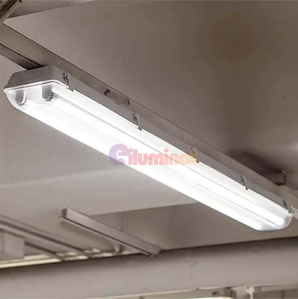 Tub Led T8 Transparent 60Cm 9W 900 Lm Tube