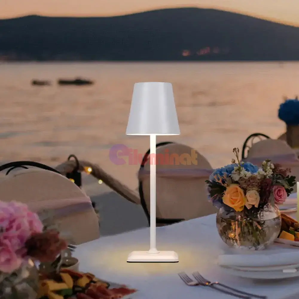 Veioza Touch RFAN 3 Tipuri De Lumina Incarcare USB table lamp